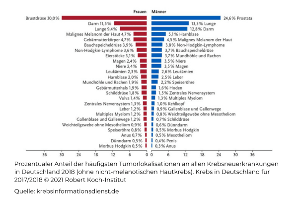 haeufigkeit_krebsarten - Weindorf Finanzberatung Krebsversicherung Krebsarten Häufigkeit
