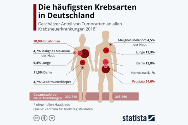häufigsten_krebsarten - Weindorf Finanzberatung Krebsarten nach Häufigkeit